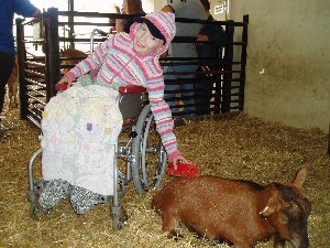 Emily and the goat