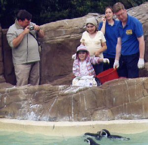 Emily and the penguins