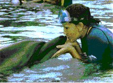Leanne With Dolphin